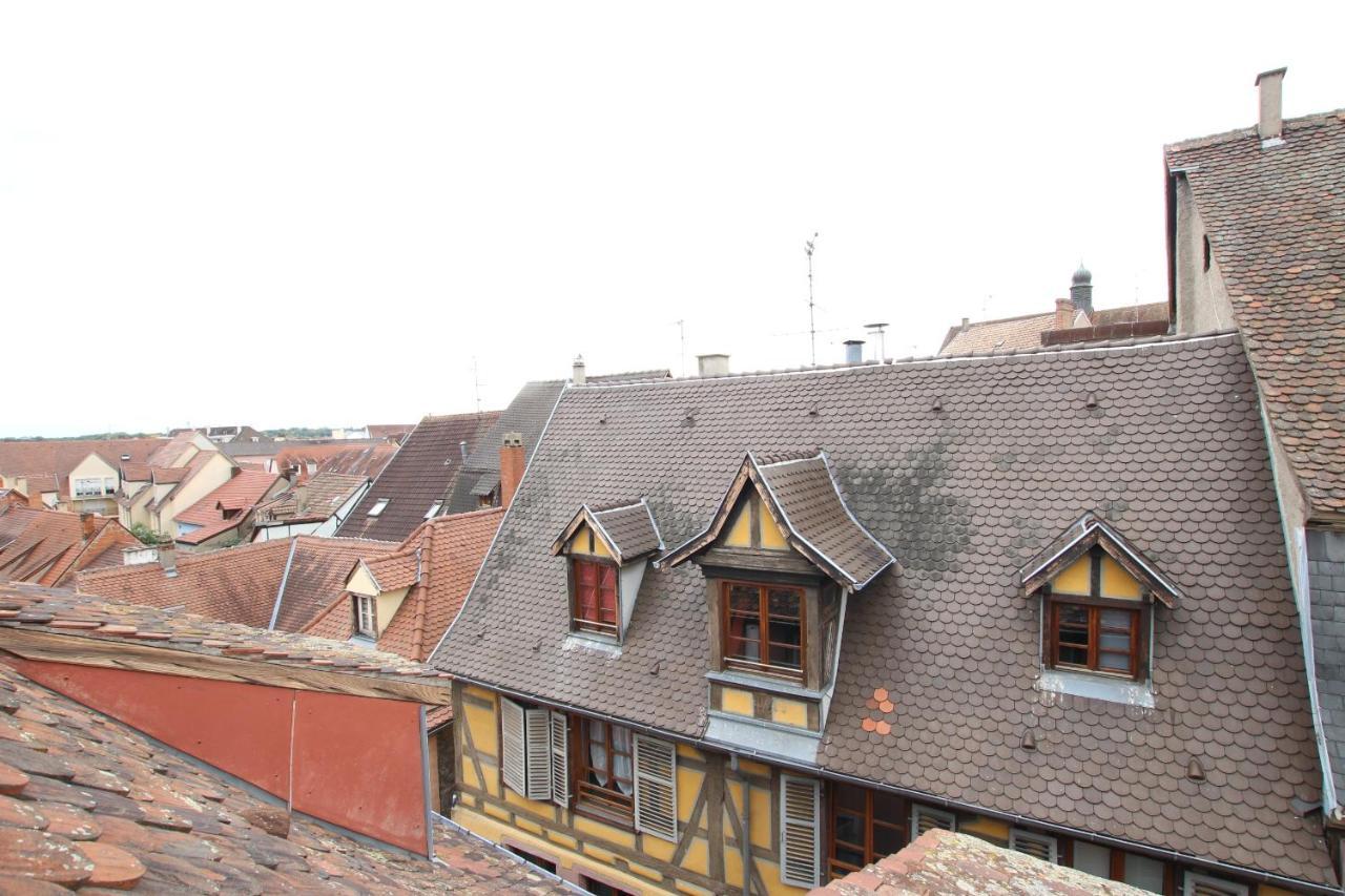 Center - Petit Ours - Bookingalsace * Colmar