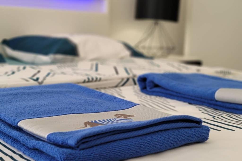 Aog Prestige Lelovelyhome Au Centre Avec Jacuzzi Et Sauna Proche Gare Et Parking Gratuit Appartement Colmar