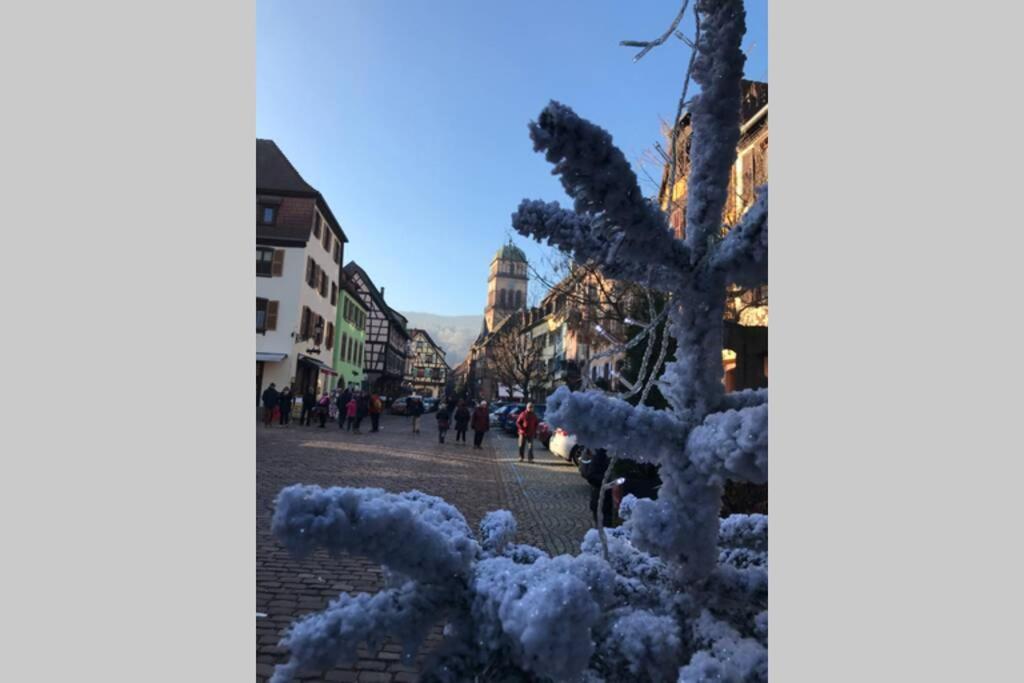 Coeur Alsace Colmar