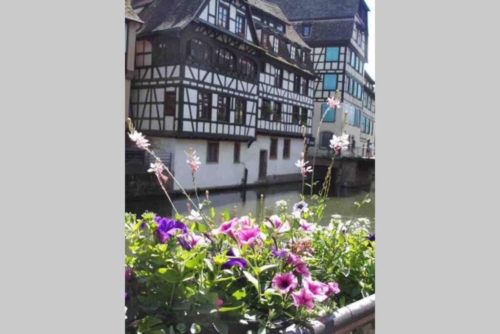 Apartment Coeur Alsace
