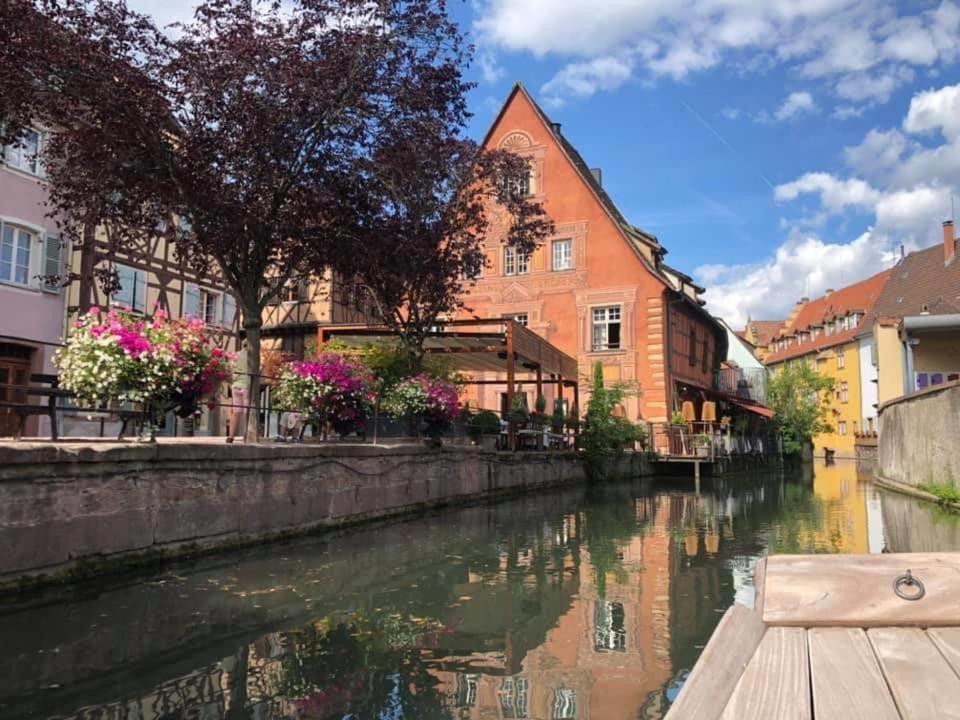 Apartment Coeur Alsace