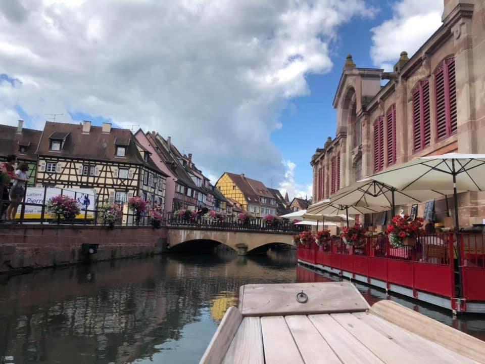 Apartment Coeur Alsace Colmar