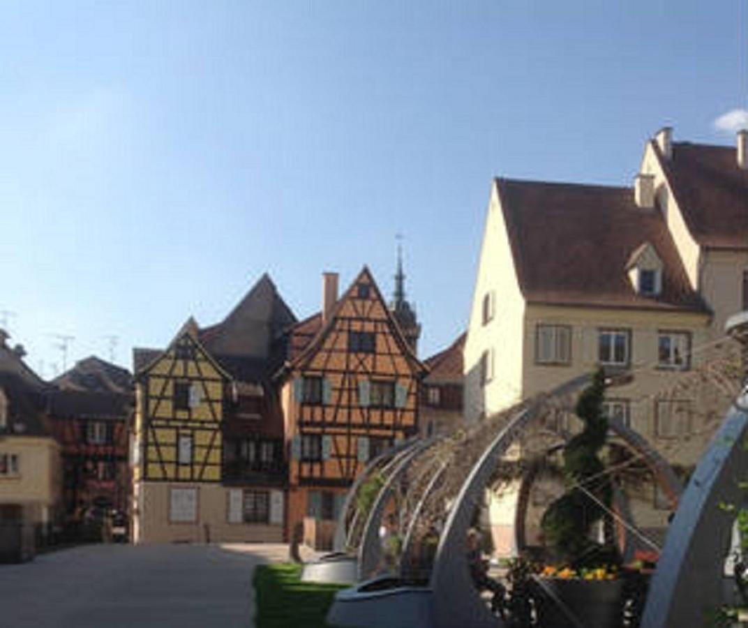 Appartement Little Bartholdi - Hyper Centre Colmar