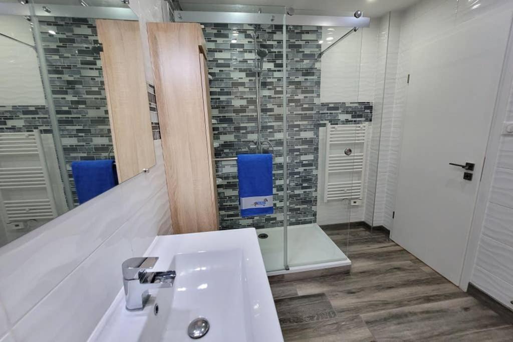Aog Prestige Lelovelyhome Au Centre Avec Jacuzzi Et Sauna Proche Gare Et Parking Gratuit Appartement Colmar