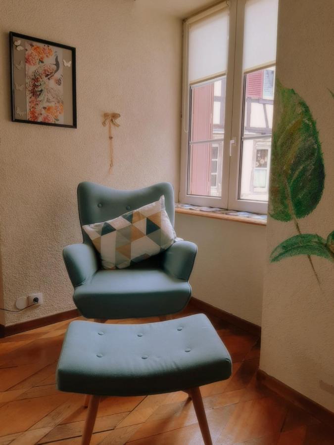 Appartement N¨°1 Schongauer De Charme Centre Touristique *