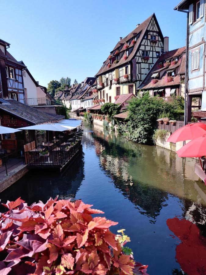 Au Kugelhopf Dore - Centre Historique Appartement Colmar