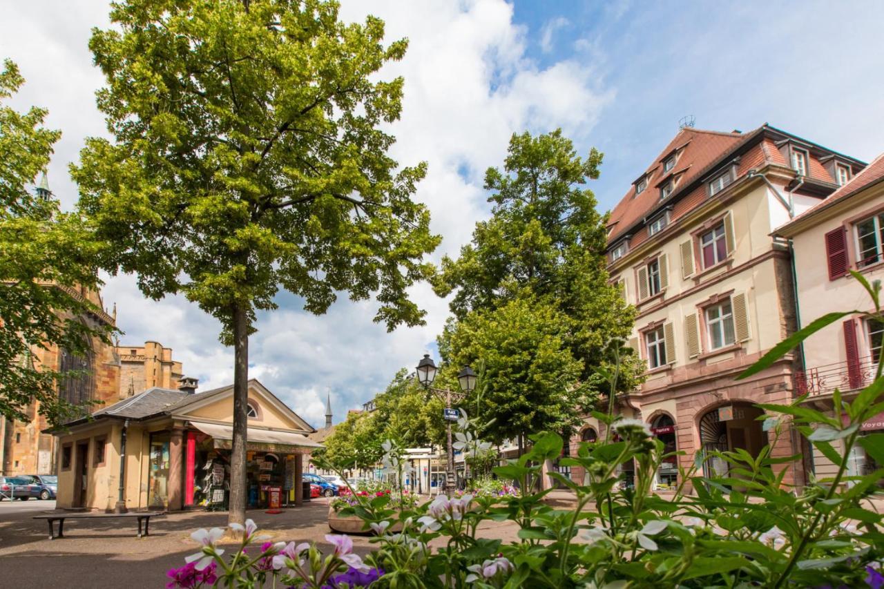 Le Griffon Colmar
