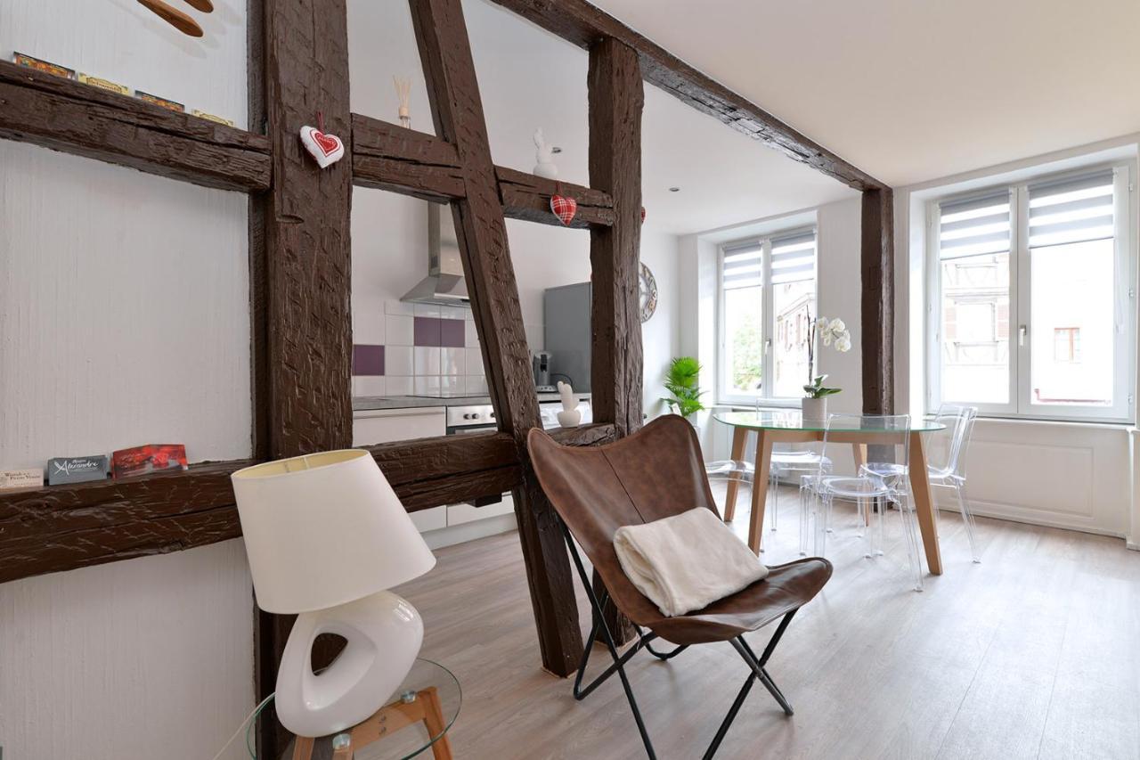 Petite Venise Saint Pierre 2 Pieces 3 Etoiles Classement Tourisme Apartment Colmar