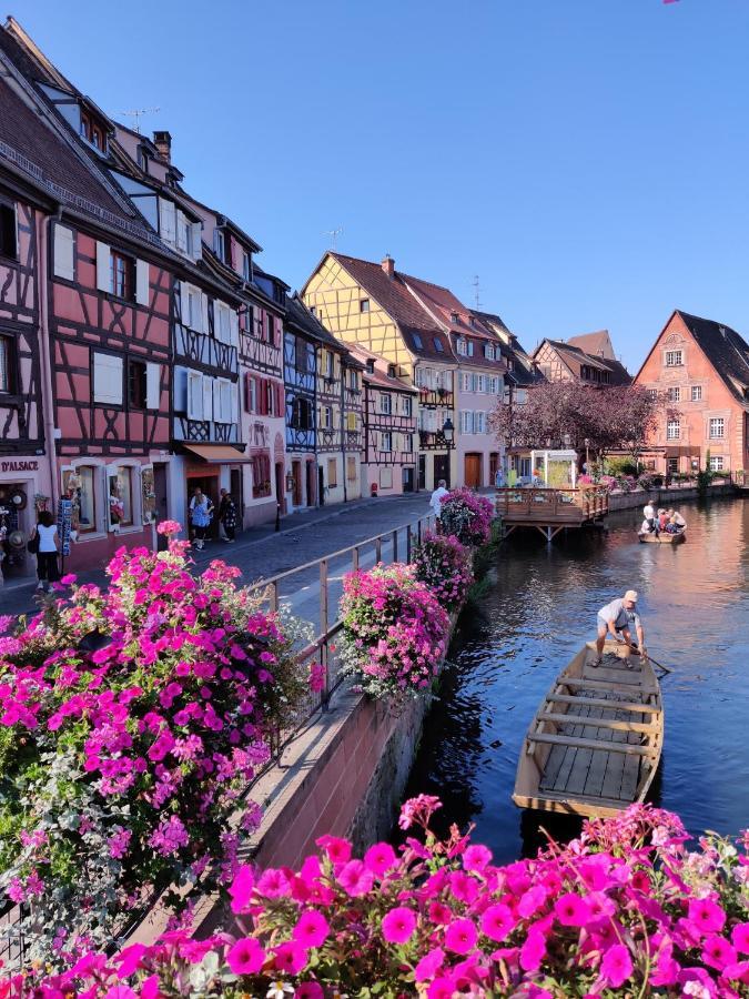 Appartement Au Bretzel Dore - Centre Historique Colmar