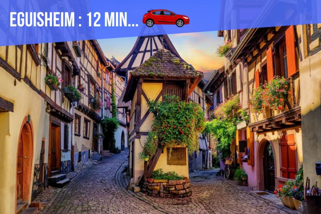 Appartement Le Blue St Léon : 2 Pièces Cozy Lit King Size Wifi Colmar