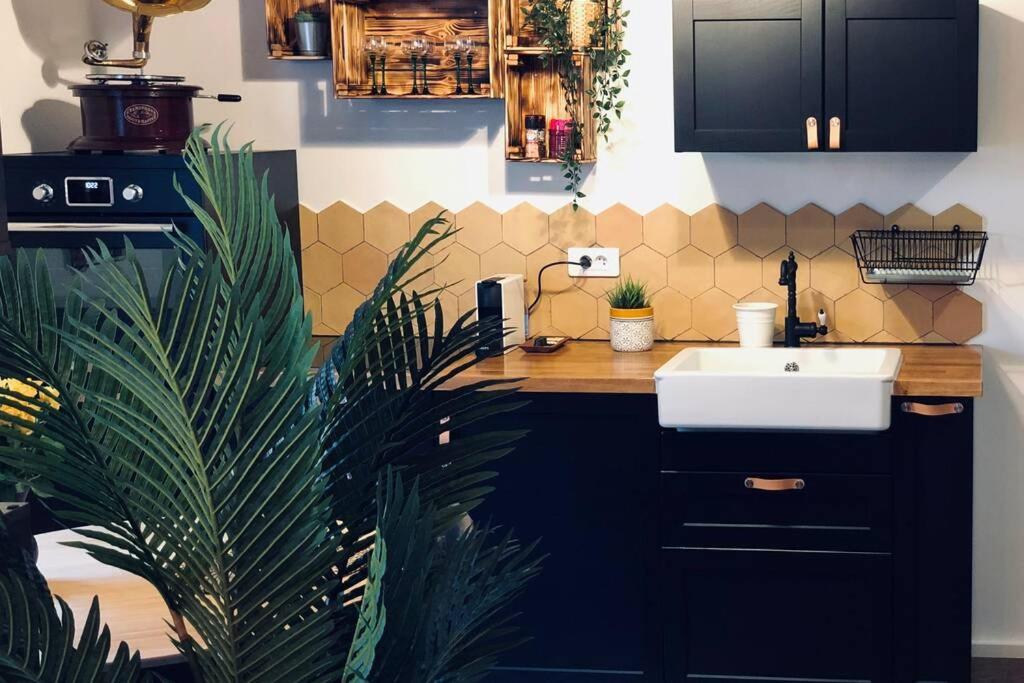 Appartement Un Petit Vintage à