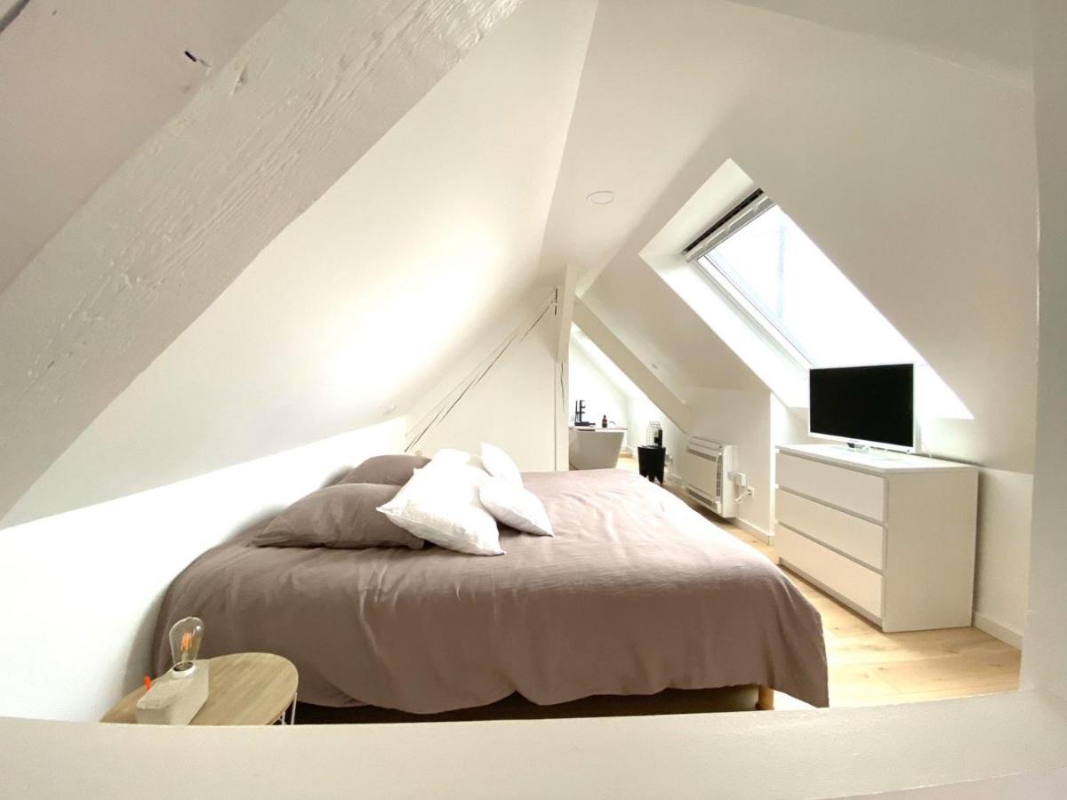 La Cle Des Toits Appartement Colmar