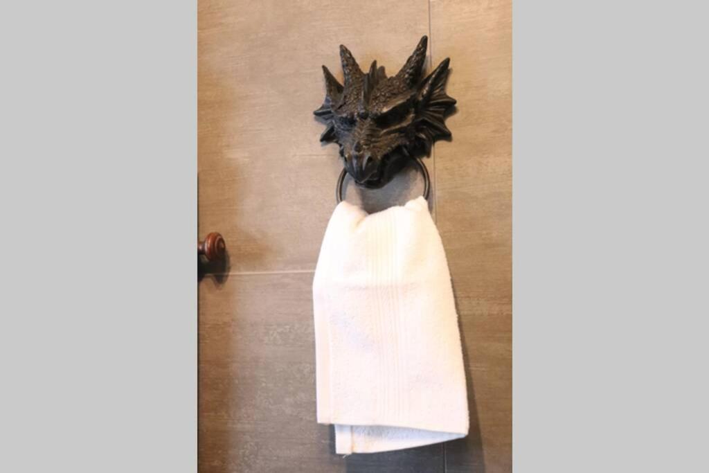 Logement Unique Inspiré De Game Of Thrones Au Coeur De Appartement Colmar