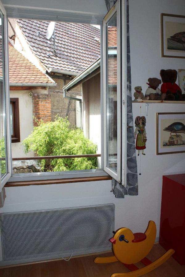 Bouquiniste Hyper Centre Appartement Colmar