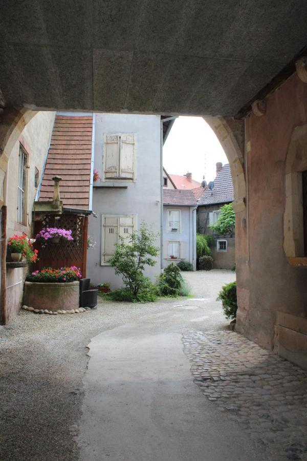 Bouquiniste Hyper Centre Colmar