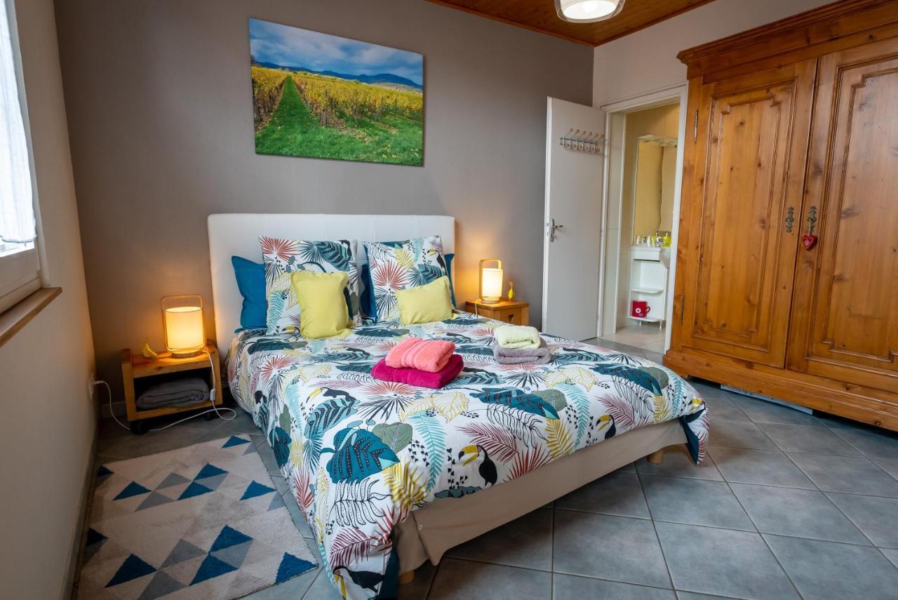 Le Schwendala - Quartier Petite Venise Apartment