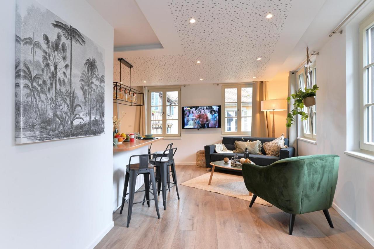 Le Splendide Du Centre Historique Avec Climatisation Appartement Colmar