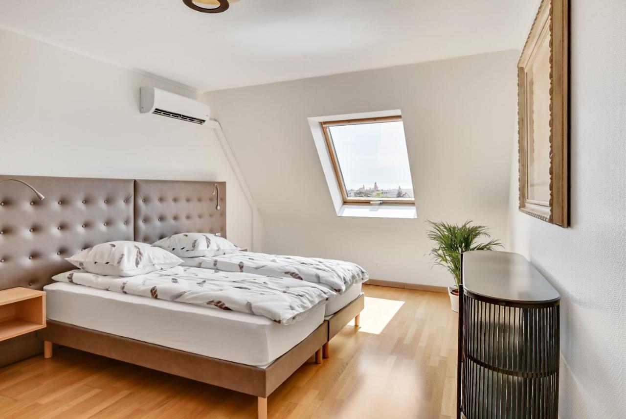 Le Saint-eloi Luxury Private Parking With Ac 6 Pers Old Town Appartement Colmar