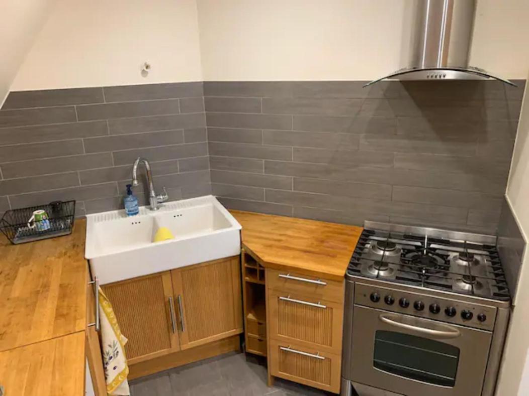 Historical Town Center Spacious Flat Colmar