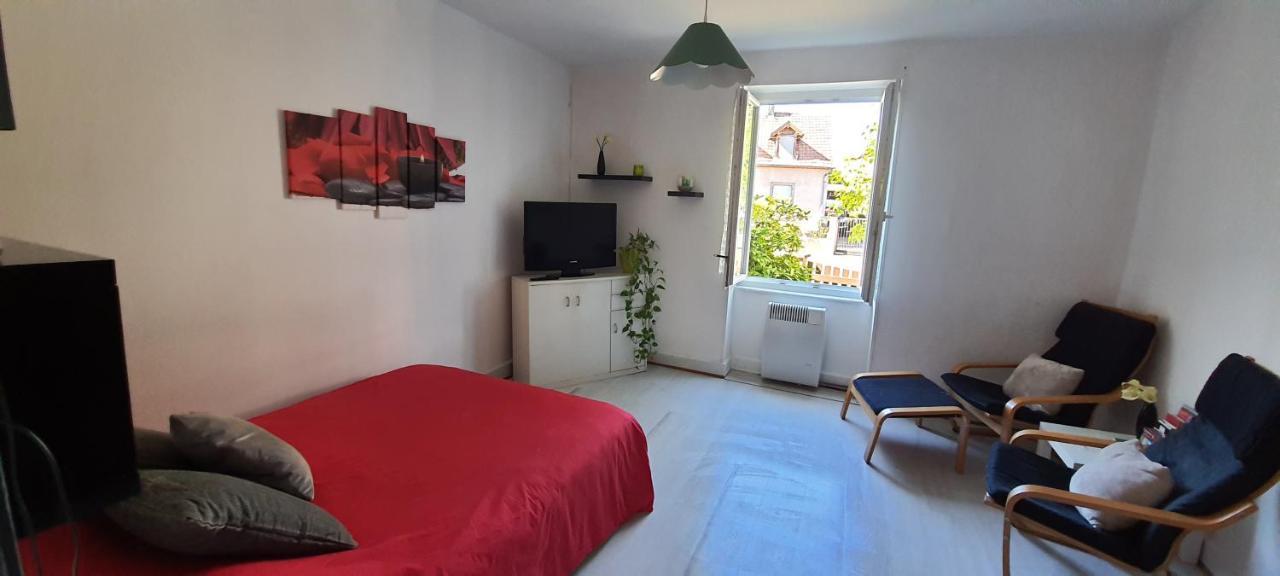 Appartement Avec Jardin A Colmar