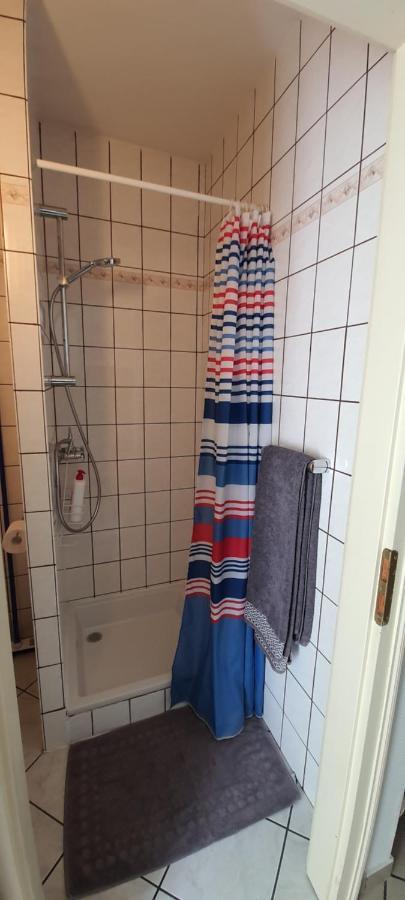 Appartement Avec Jardin A Colmar
