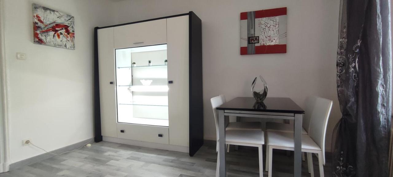 Logement Cosy Et Spacieux, A 2 Pas Du Centre-ville Colmar