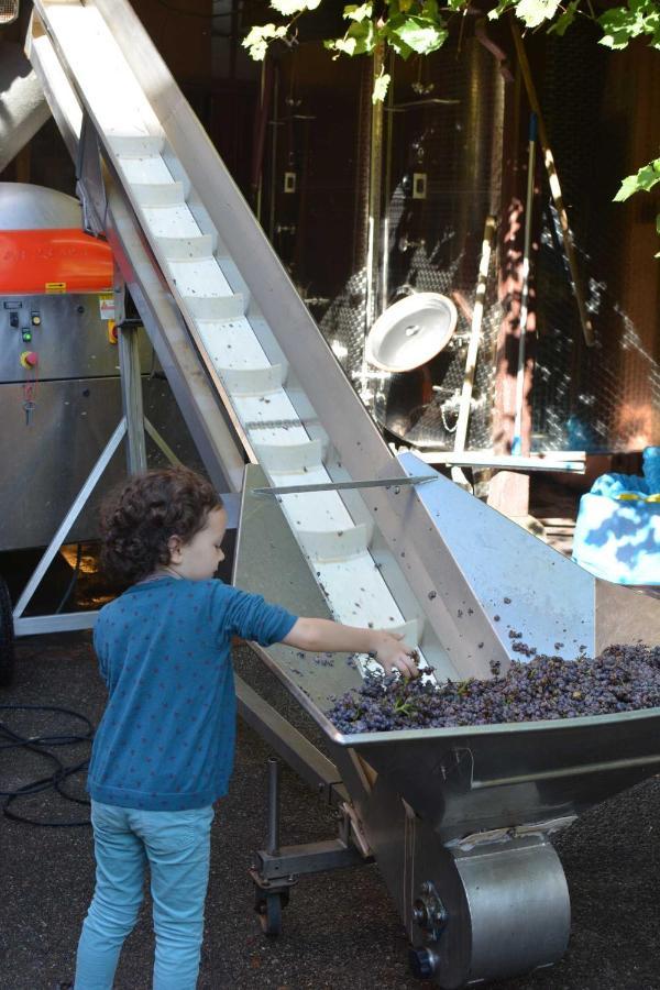 Chez Cecile Chez Le Vigneron