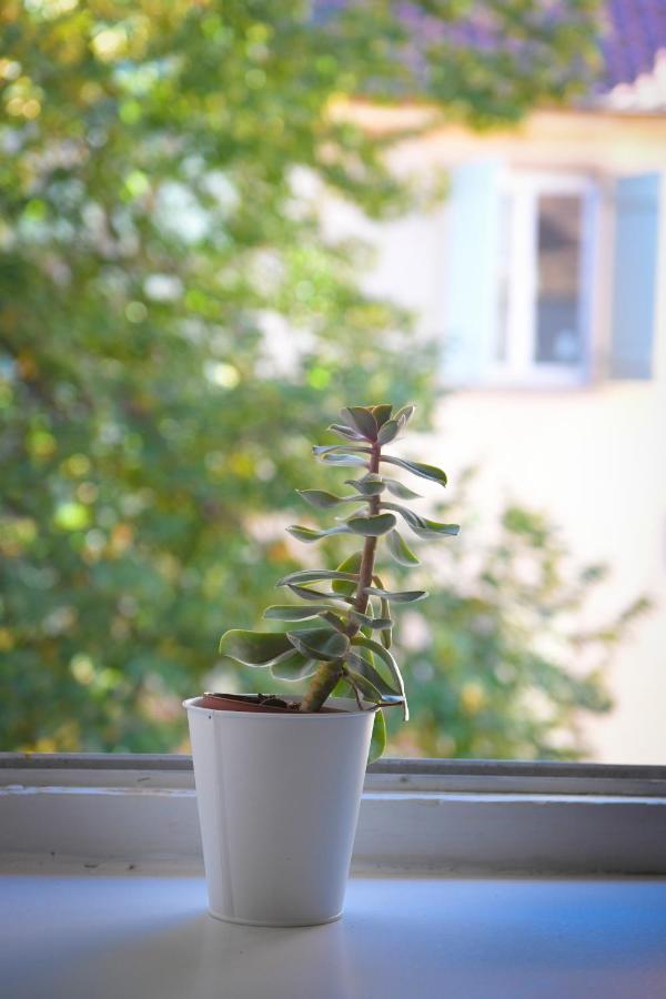 Chez Caroline Dans Un Havre De Verdure Et De Calme Couette-café