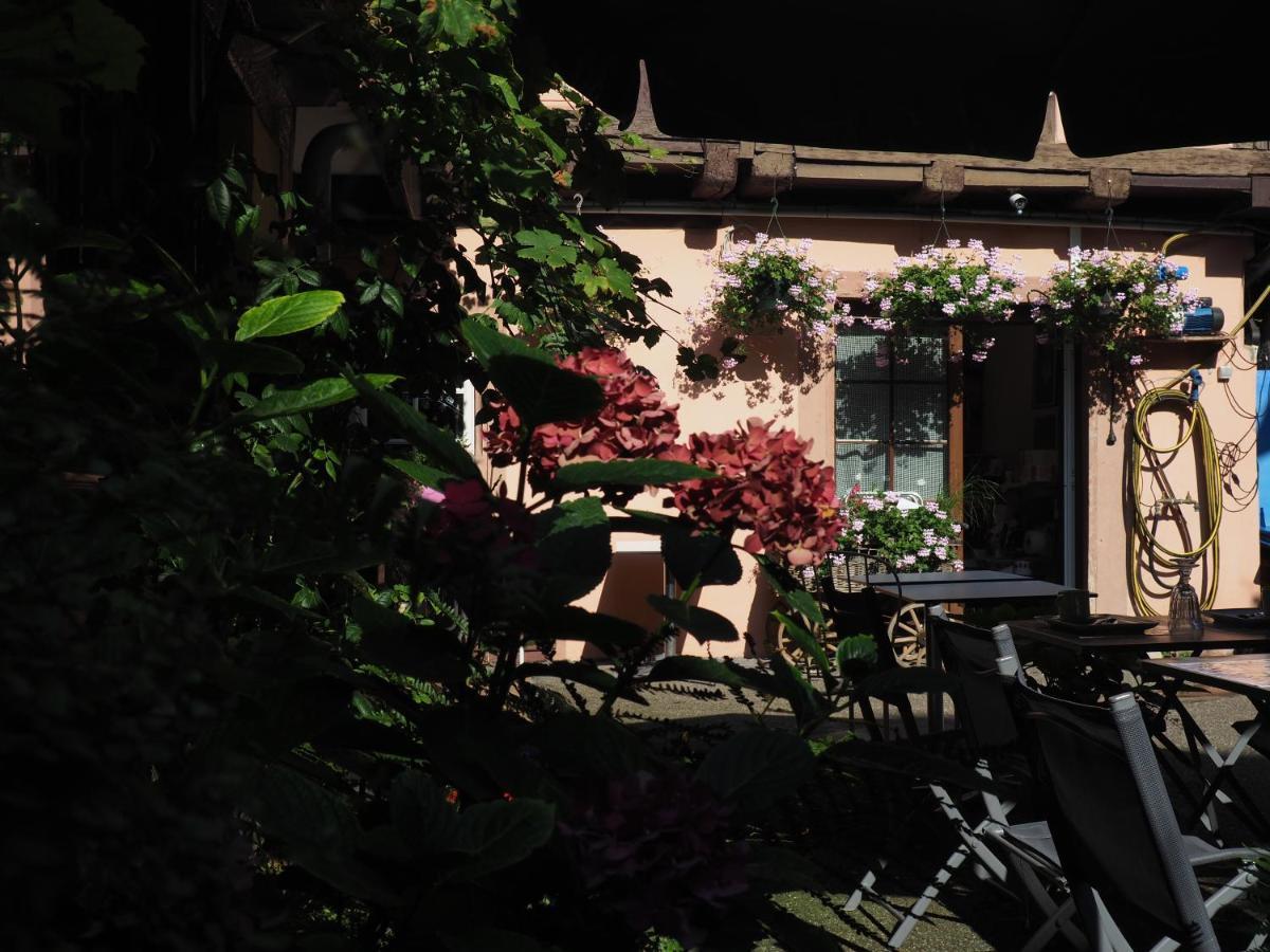 Chez Caroline Dans Un Havre De Verdure Et De Calme *