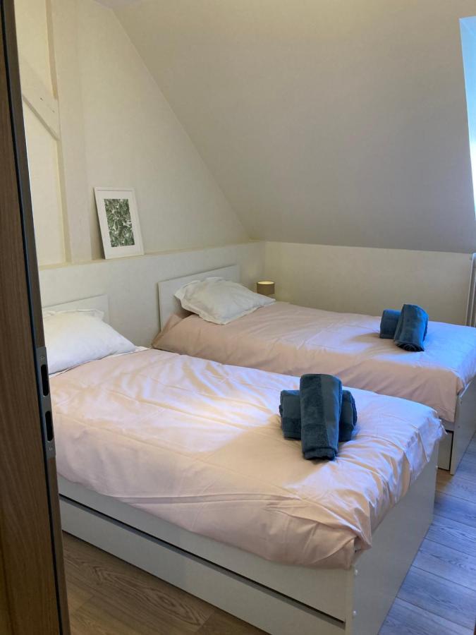 Les Moulins Très Agréable Et Idéalement Situé * Colmar