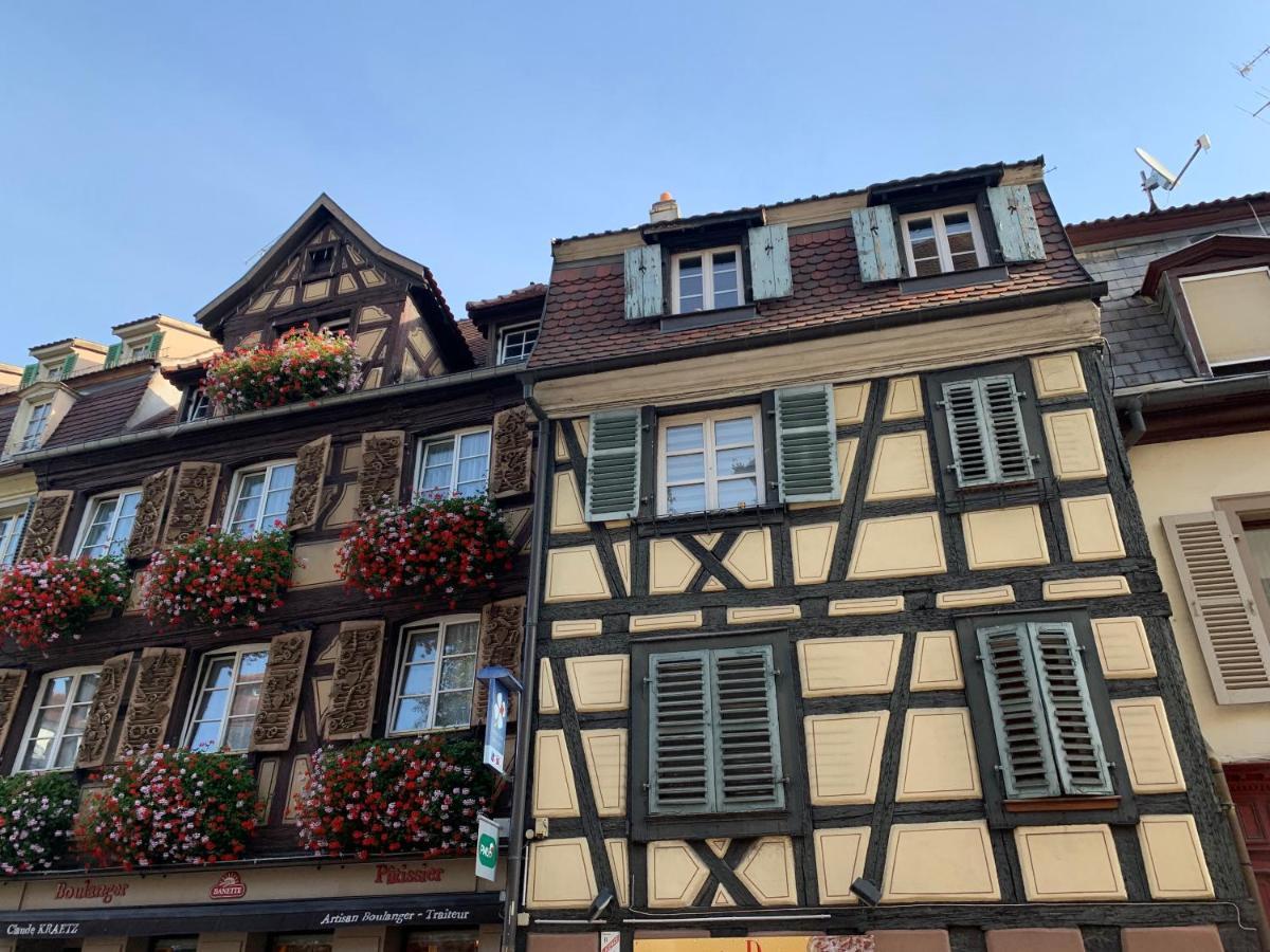 Pinot 4 Personnes * Colmar