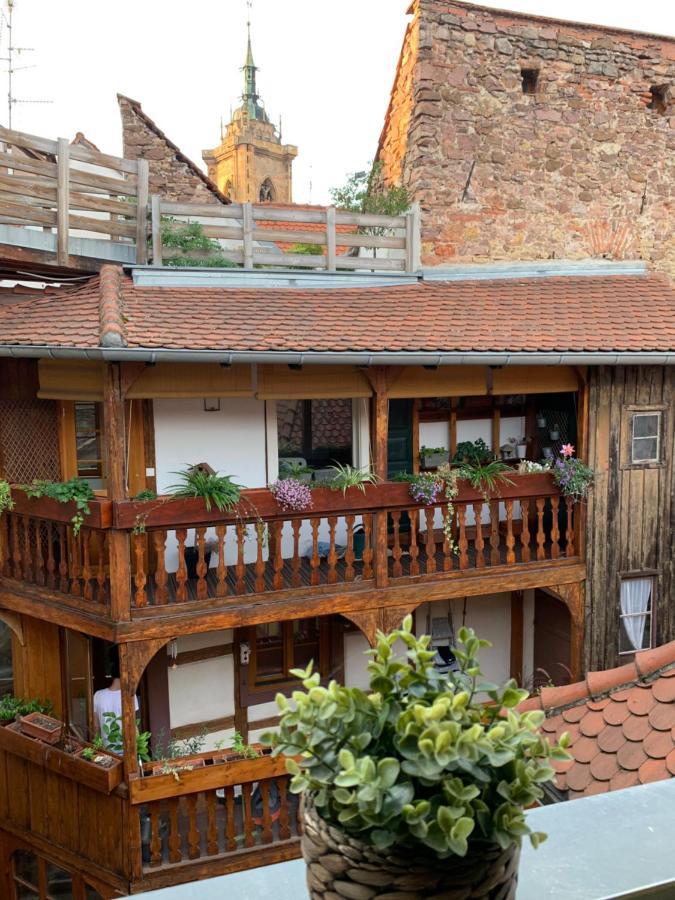 Coquet Centre Colmar