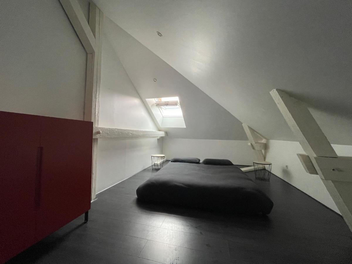 Dream Loft Apartment Colmar