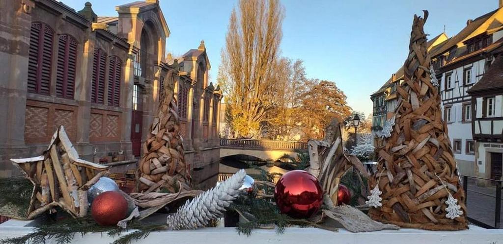 Le St Josse Confort A Colmar