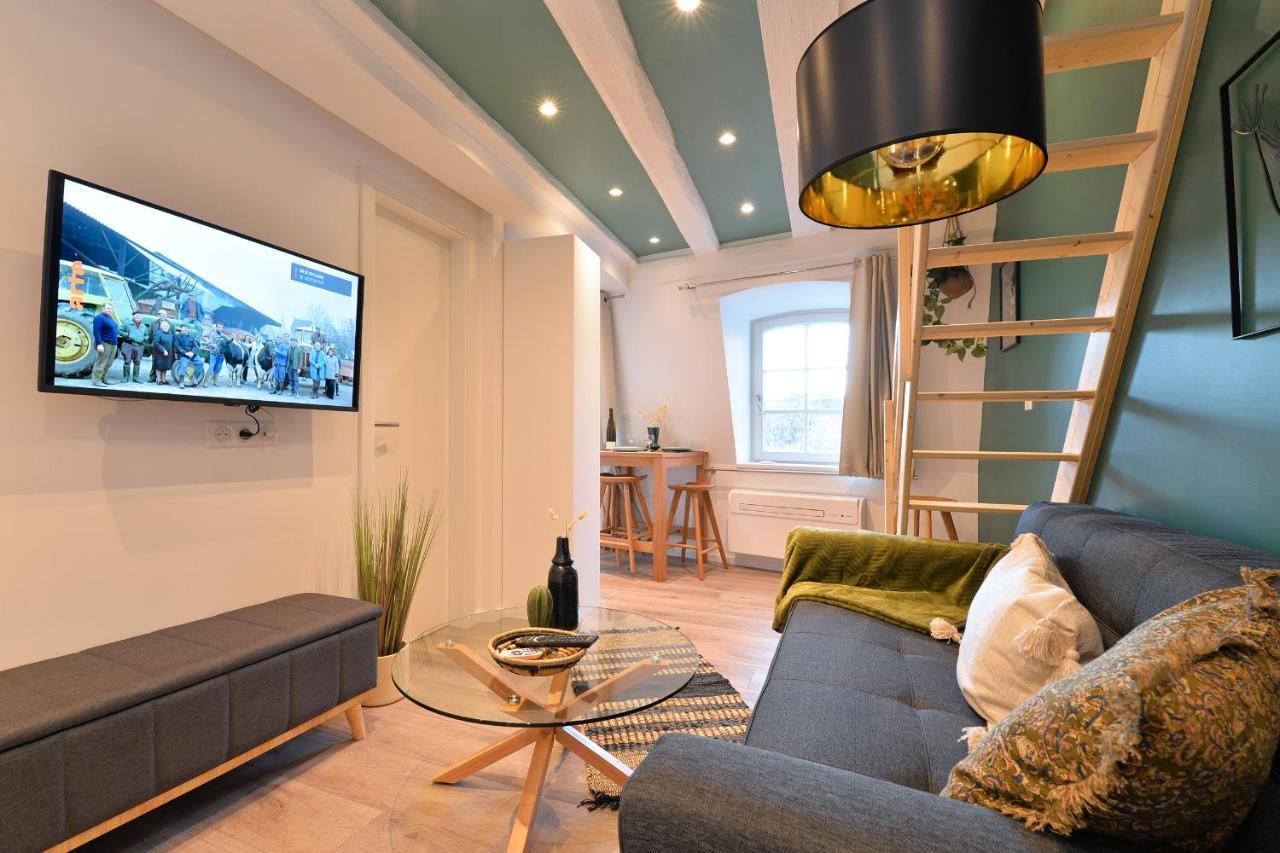 Appartement Le Splendide Du Centre Historique Avec Climatisation Colmar