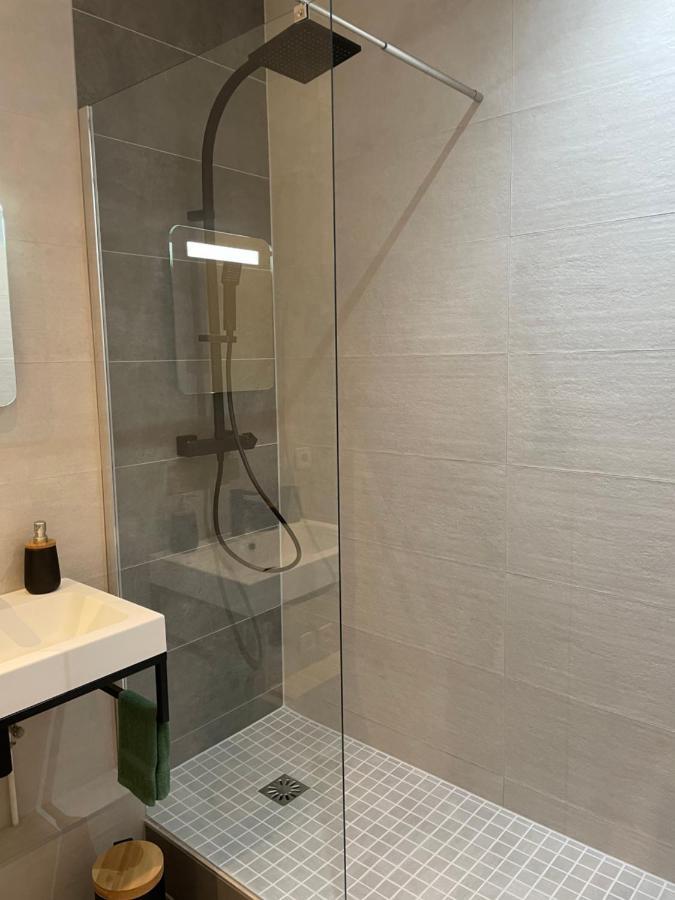 Appartement Chaleureux F2 Dans L’hypercentre Colmarien Colmar