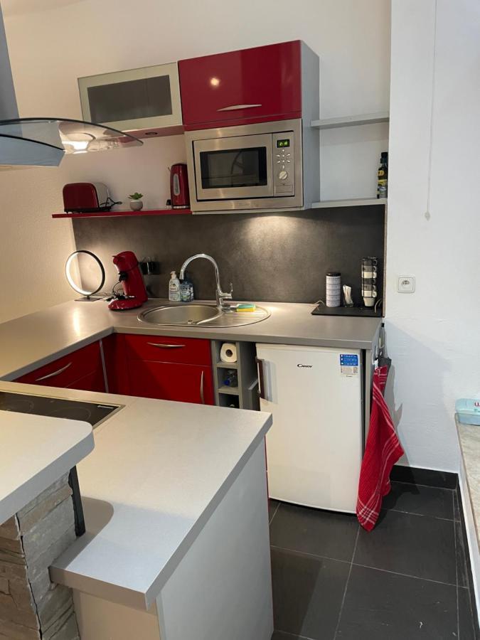 Appartement Chaleureux F2 Dans L’hypercentre Colmarien *