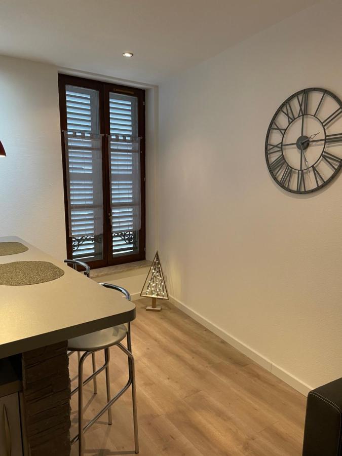 Appartement Chaleureux F2 Dans L’hypercentre Colmarien