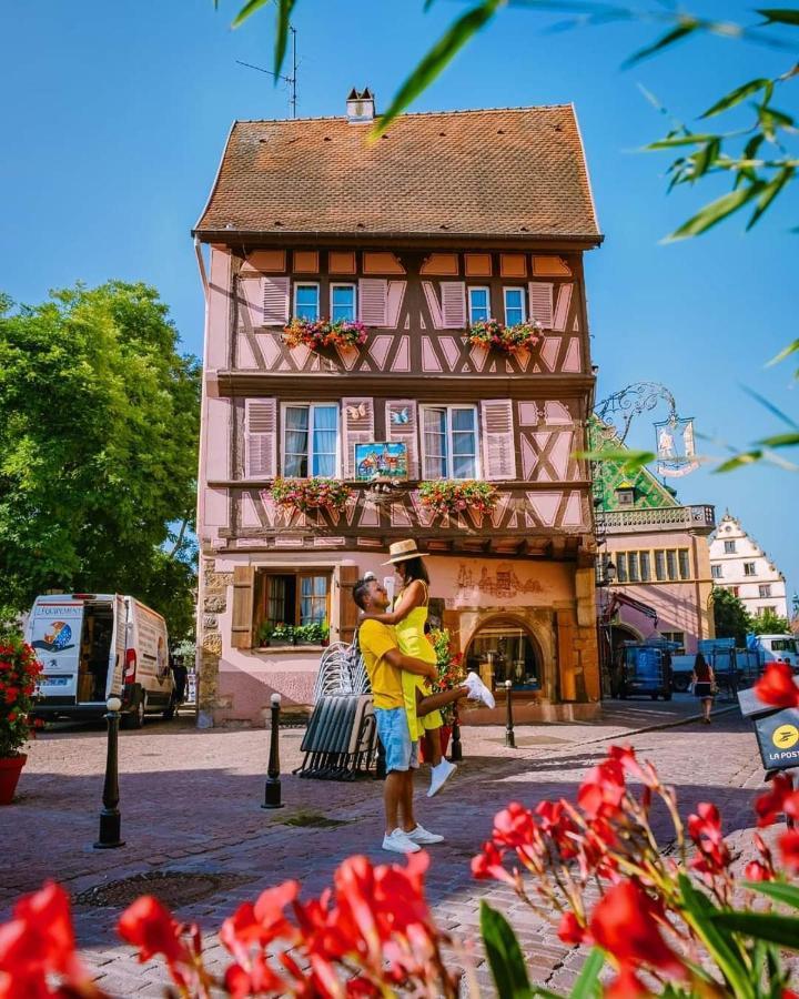 L'ourson Apartment Colmar