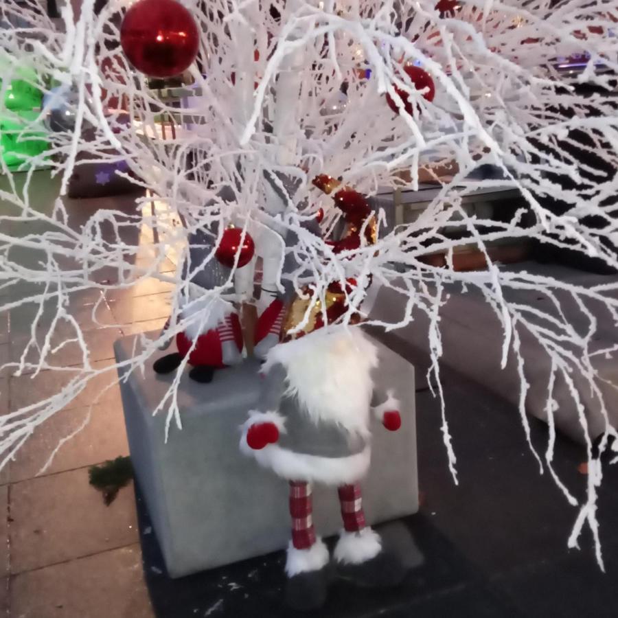 Les Lavandieres Colmar
