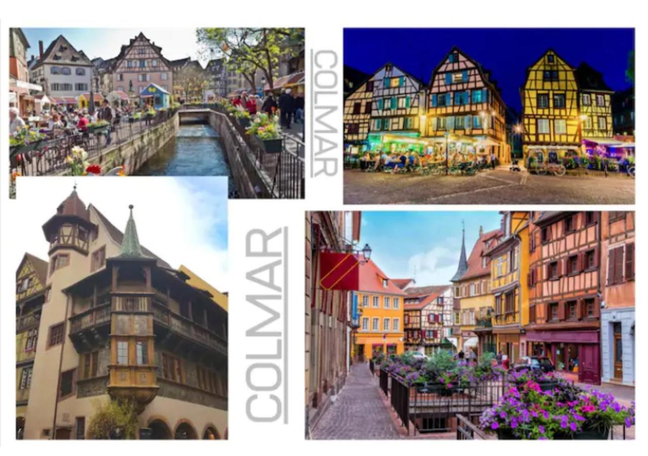 Apartment Thann - 1 - 5 Pers - Parking Colmar