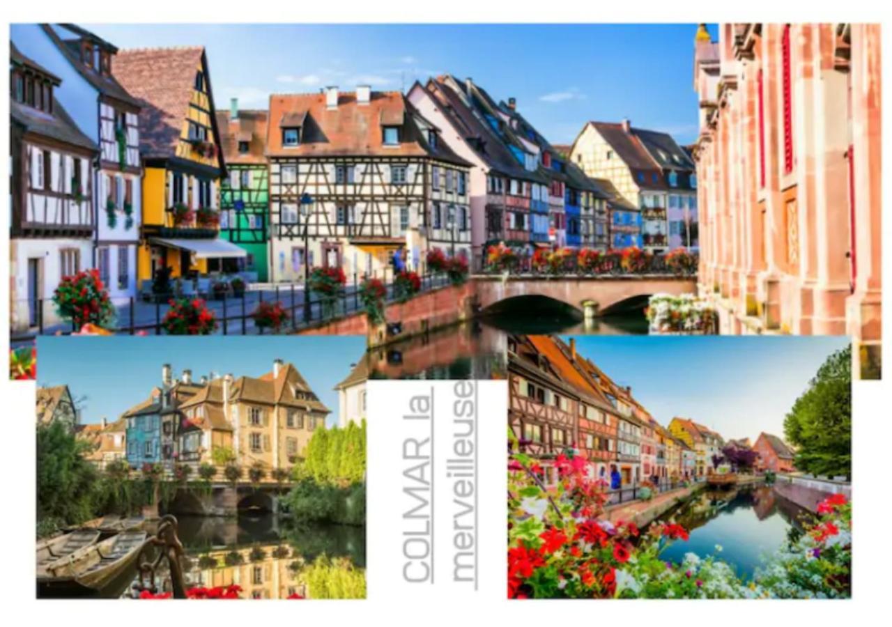 Appartement Colmar-famille&pro-3 - 8 Pers-wifi-clim *