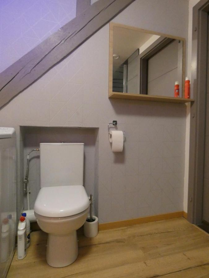 Apartment Gite Les Combles Du Bonheur Colmar
