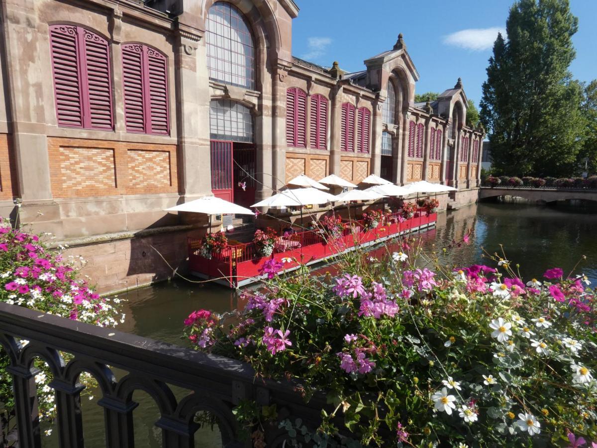 Gite Les Combles Du Bonheur * Colmar