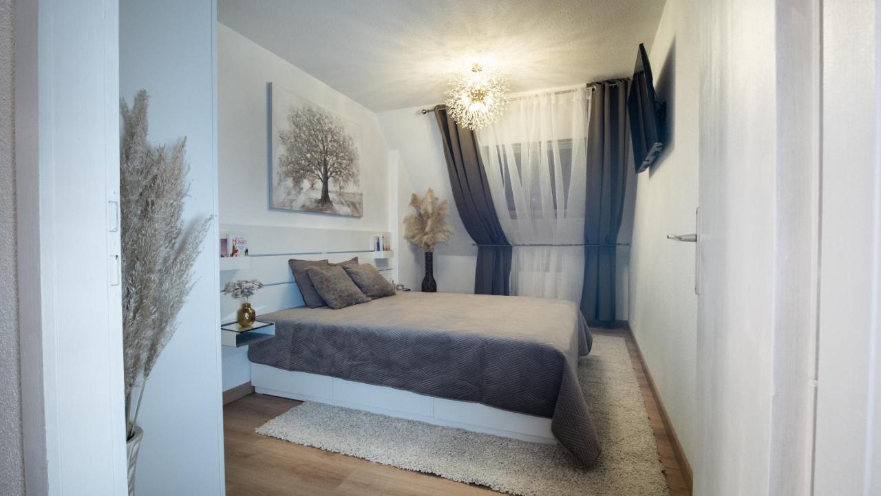 Apartment Superbe Au Coeur Du Colmar