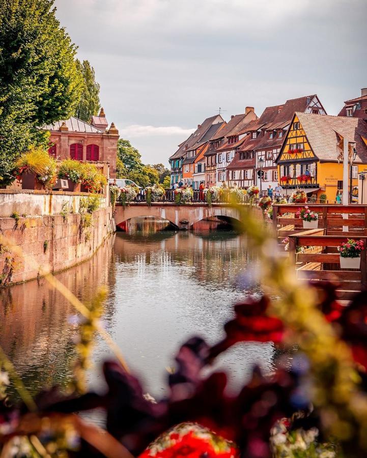 L'ambassadeur - Centre Colmar