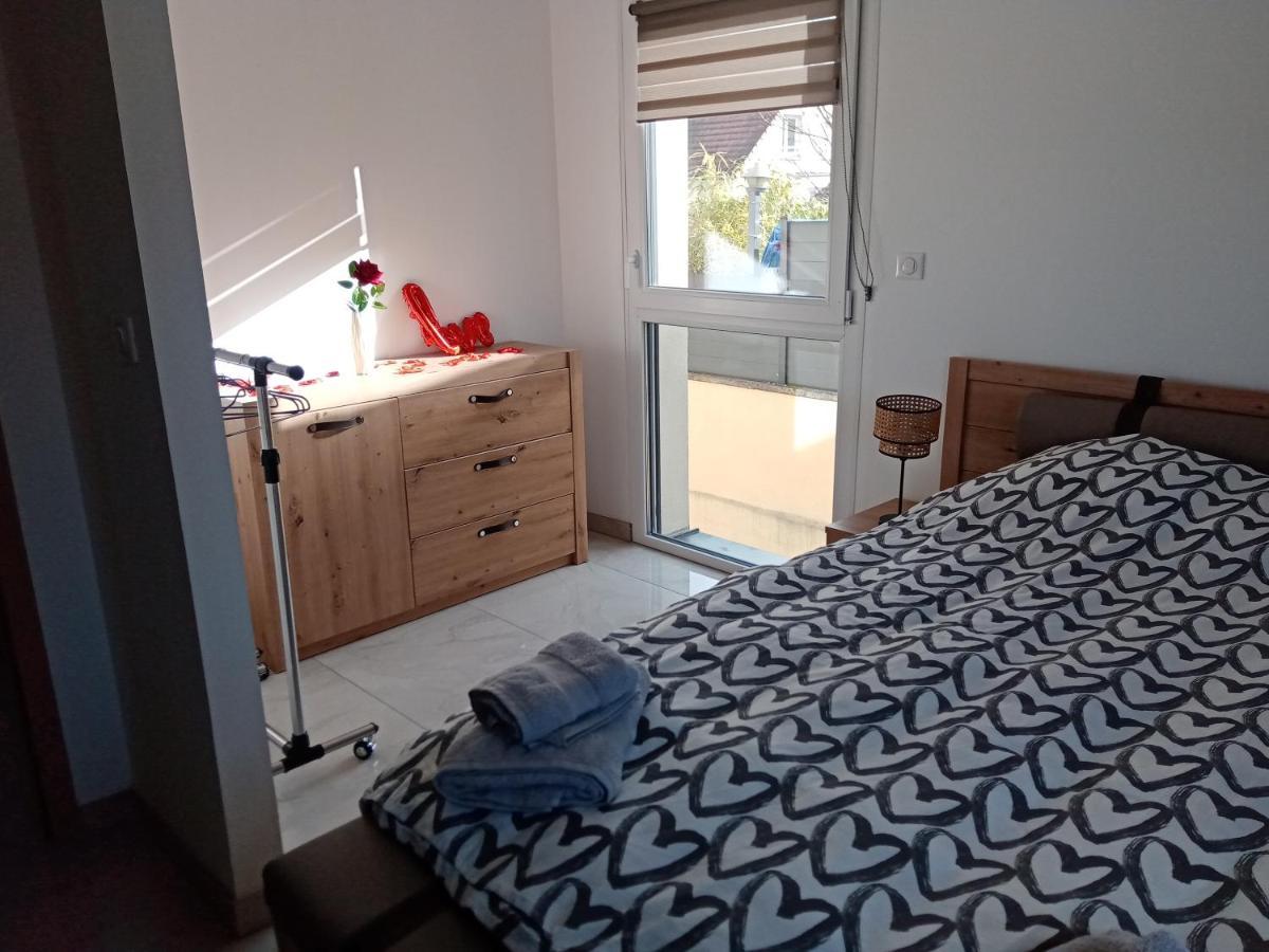 Jolie Maison Sauna, Balneo Lumino Thérapie Et Terrasse Villa Colmar