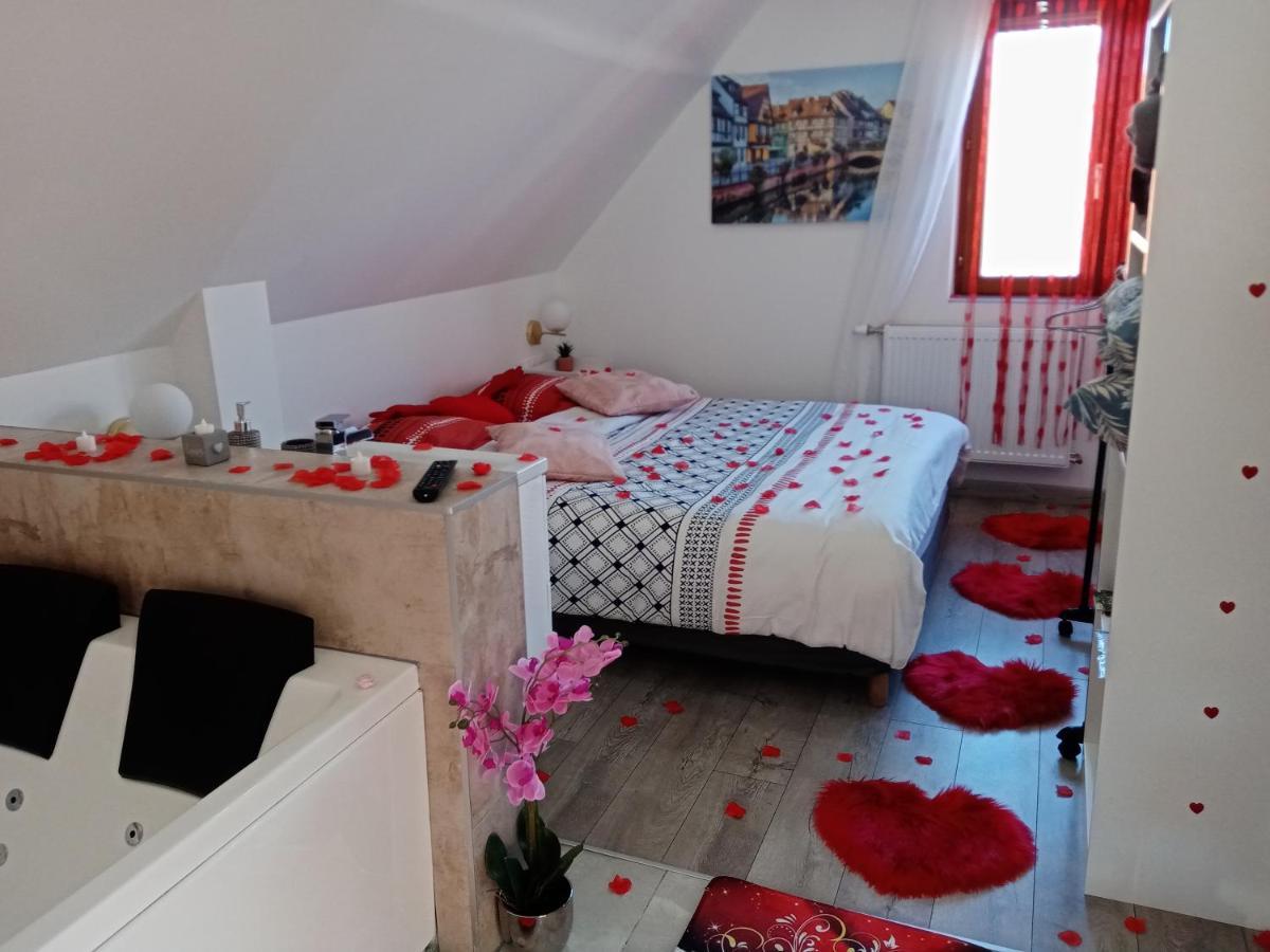 Appartamento Jacuzzi Au Centre Colmar