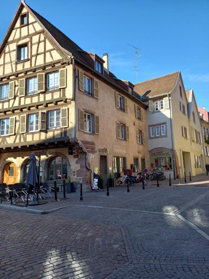 Colmar: Dans Le Centre Historique Appartement