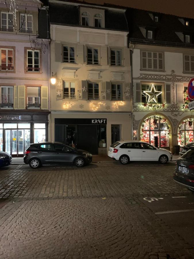 Des 2 Tetes Apartment Colmar